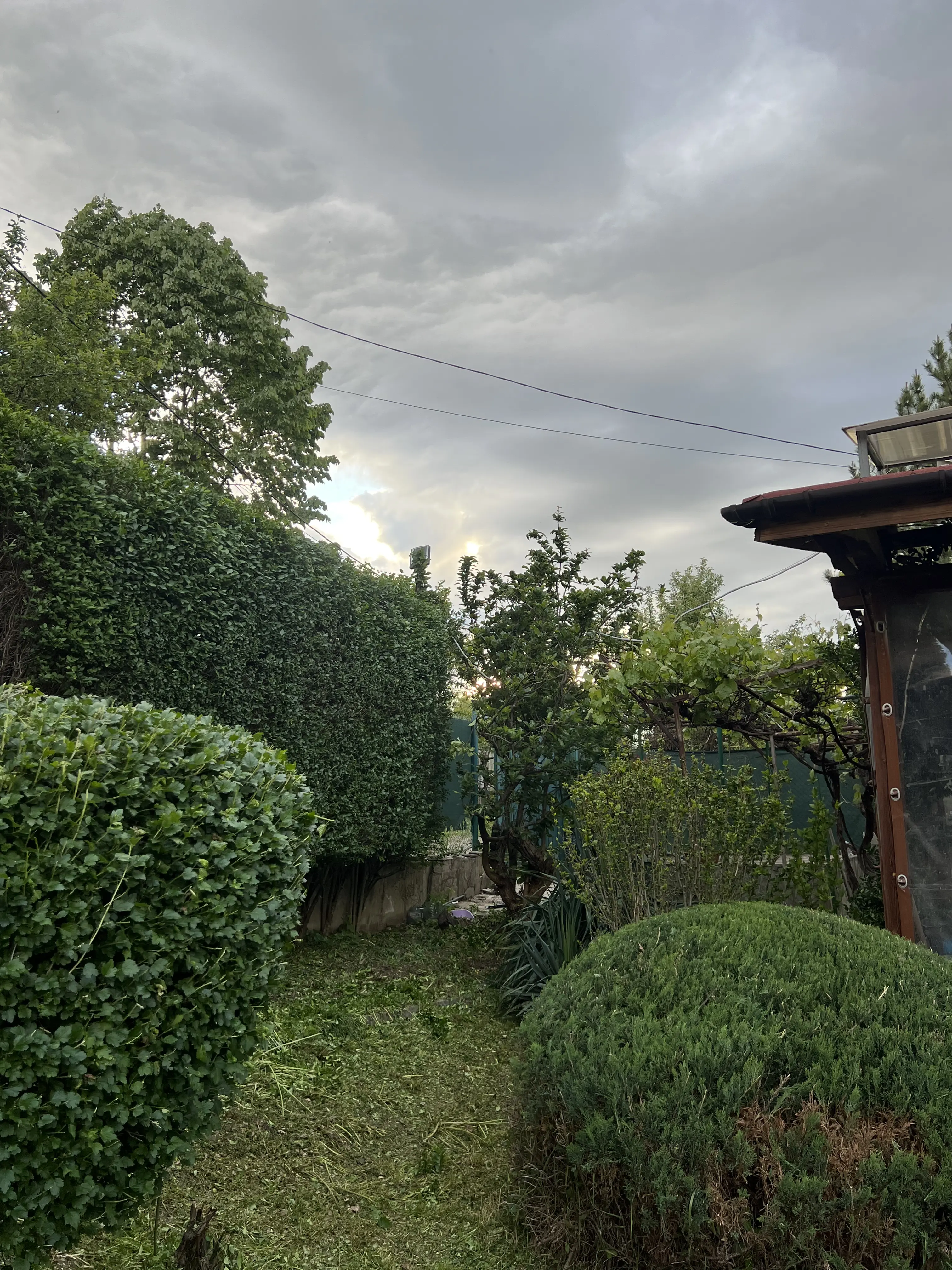 Landscaping service 6