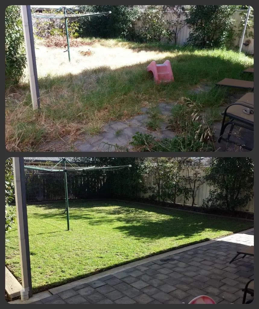 Landscaping service 3